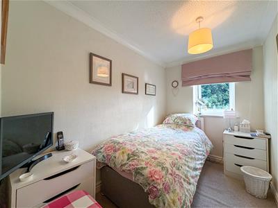Picture 20